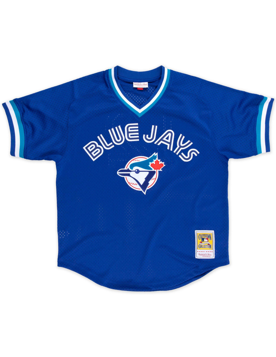 Toronto Blue Jays Mesh V-Neck BP Jersey – The Sport Gallery