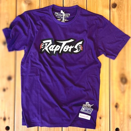 Toronto Raptors Hide and Hold Retro T-Shirt