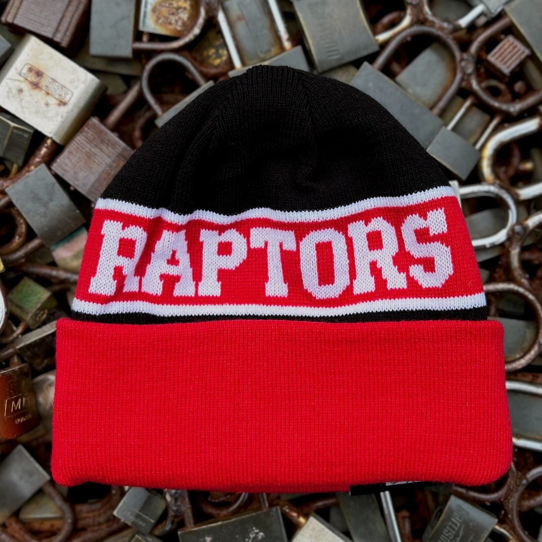Toronto raptors toques sale