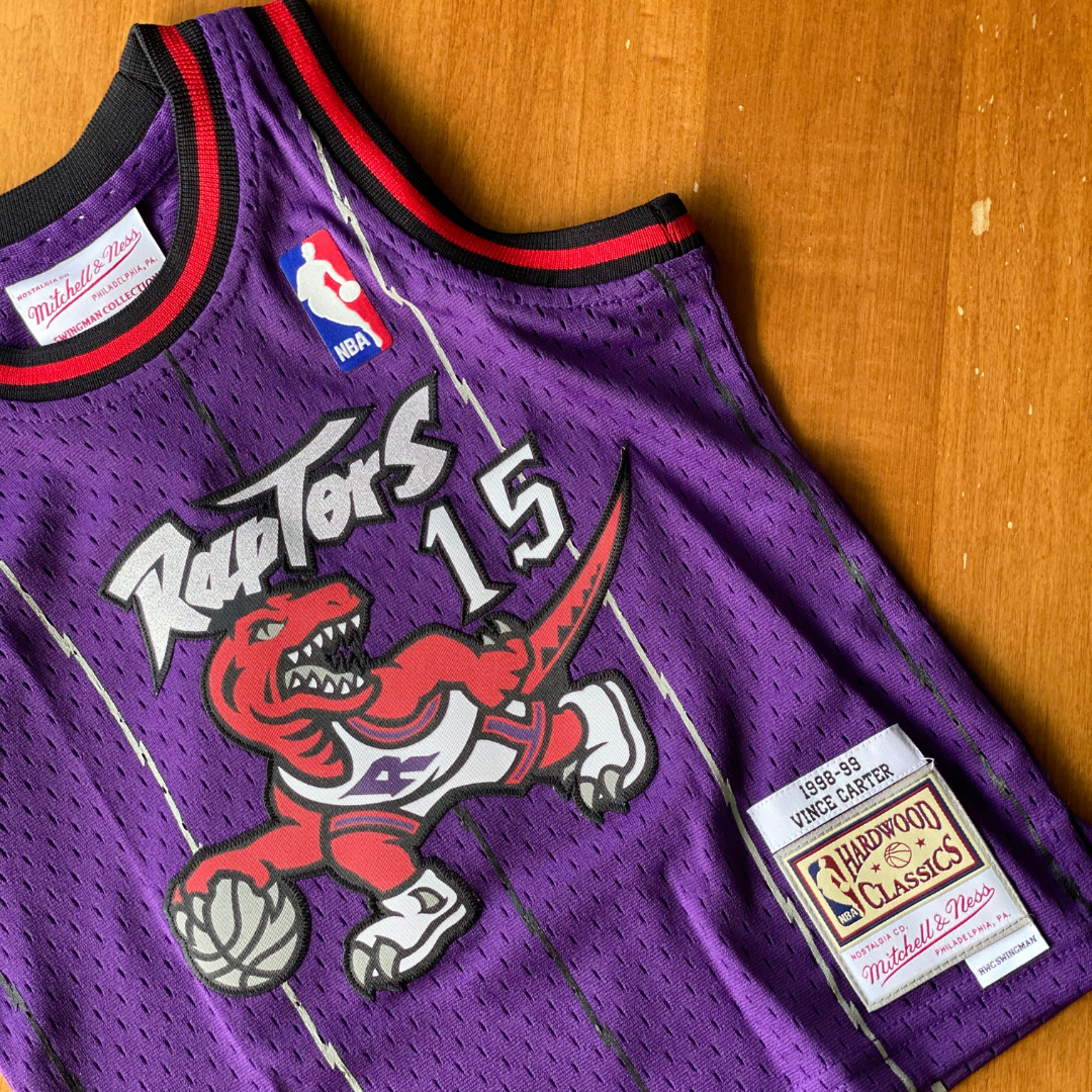 Vince carter dino hot sale jersey
