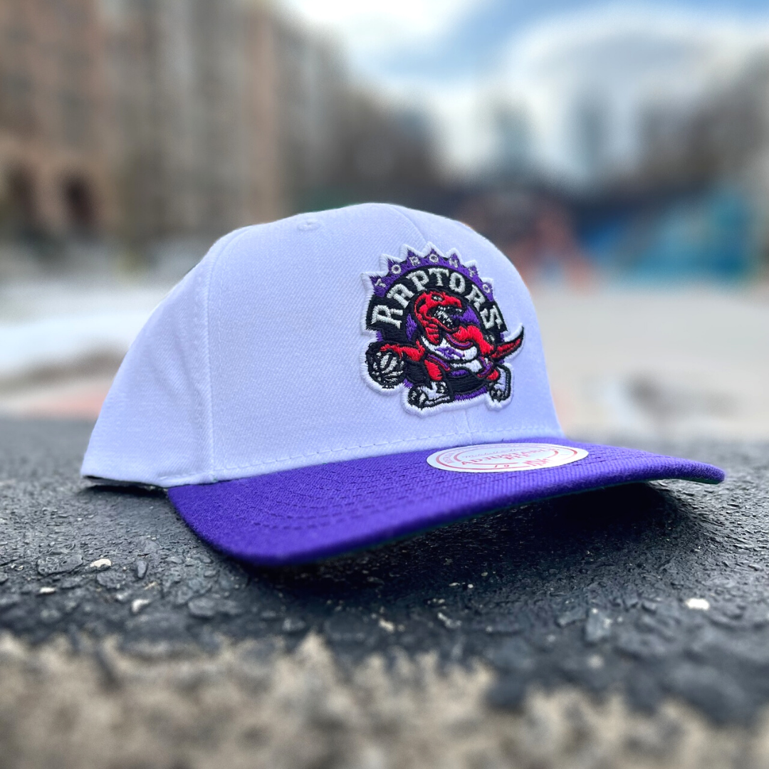 Toronto raptors best sale retro hat